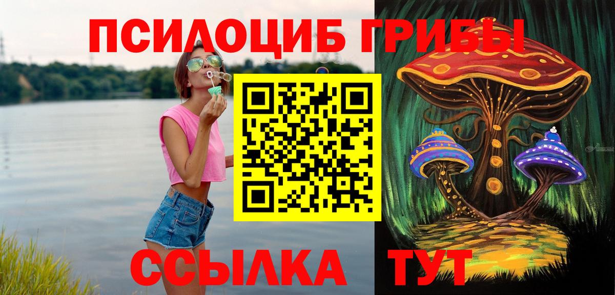 Псилоцибиновые грибы Cubensis  Вход с VPN  магазин  наркотиков  Зеленокумск 