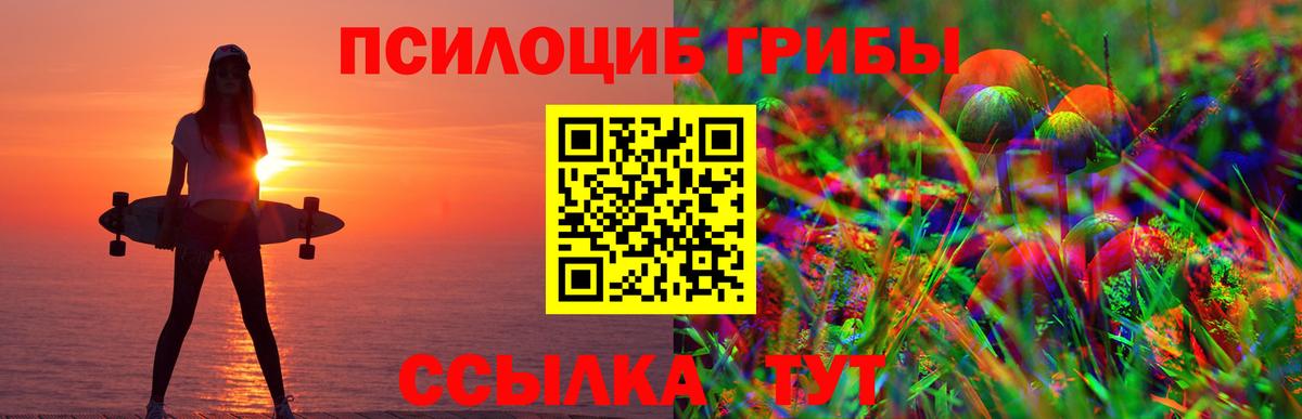 Псилоцибиновые грибы мицелий Зеленокумск